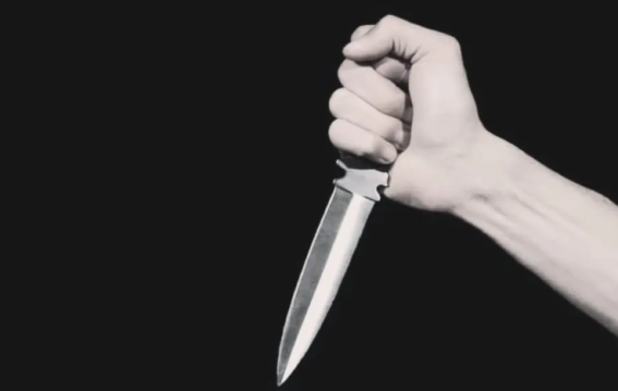 School Principal Fatally Stabbed by Two Students in Hisar Over Disciplinary Action